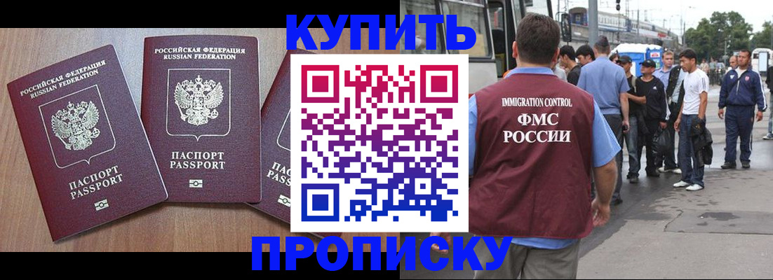 прописка 2025 в Михайловске